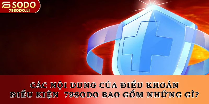 Các nội dung của điều khoản điều kiện bao gồm những gì?